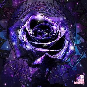 Meet your Posher, Winnie